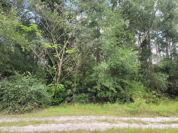 MARIE AVE, Deland, FL 32720