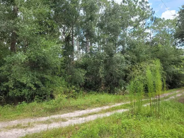 MARIE AVE, Deland, FL 32720