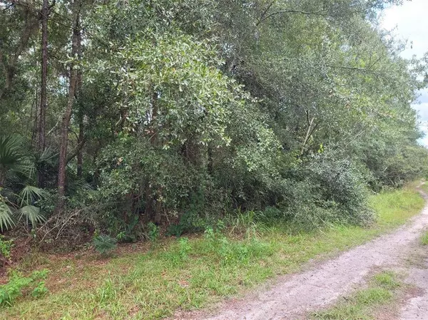 MARIE AVE, Deland, FL 32720