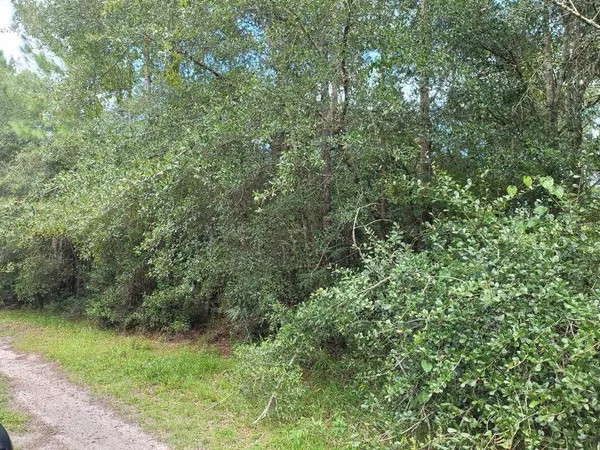 MARIE AVE, Deland, FL 32720