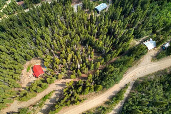 1314 Quartzville Road, Alma, CO 80420