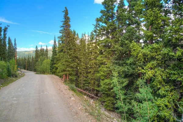 1314 Quartzville Road, Alma, CO 80420