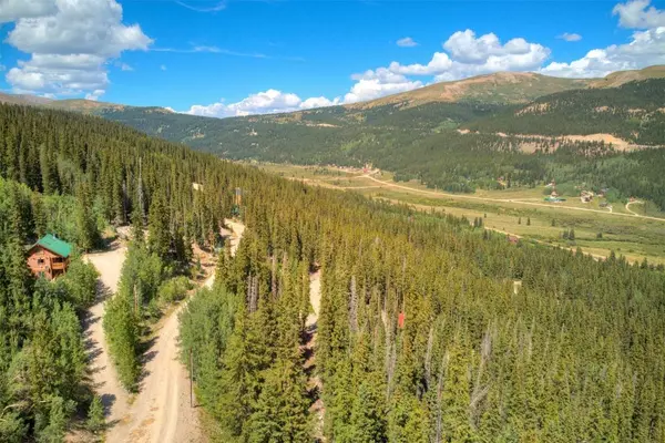 1314 Quartzville Road, Alma, CO 80420