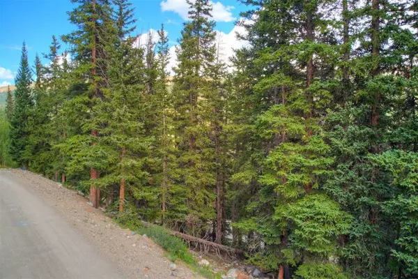 1314 Quartzville Road, Alma, CO 80420