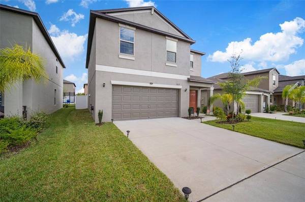 3617 CAT MINT ST, Tampa, FL 33619