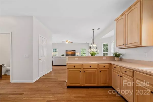 12735 Mcginnis LN, Huntersville, NC 28078