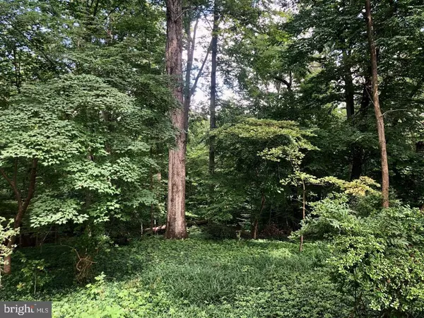 3141 ABERFOYLE PL NW, Washington, DC 20015