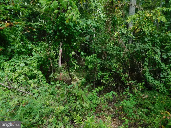 10-C-11-1-5 AZURE DR, Colonial Beach, VA 22443