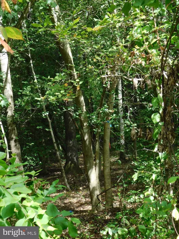 10-C-11-1-5 AZURE DR, Colonial Beach, VA 22443