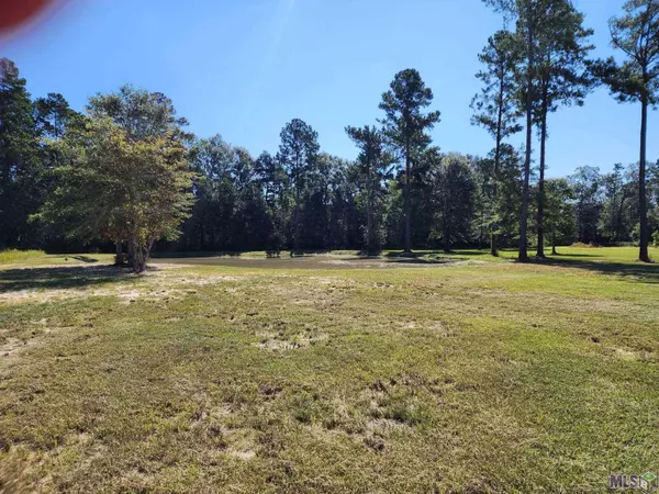 34316 QUARTER HORSE LN, Walker, LA 70785