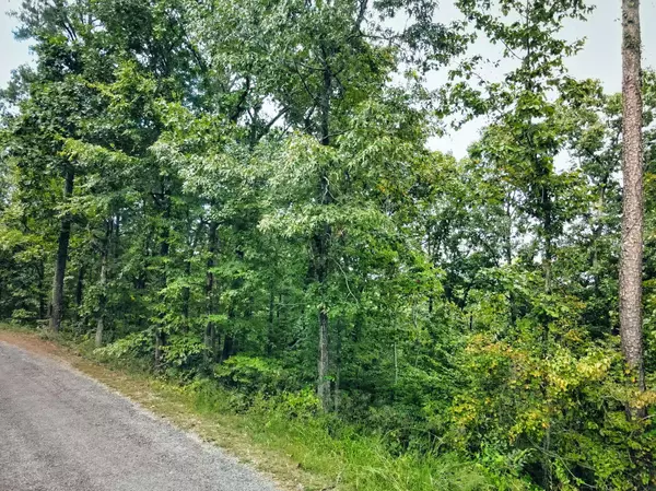 0 DAVIS DR, Crane Hill, AL 35053