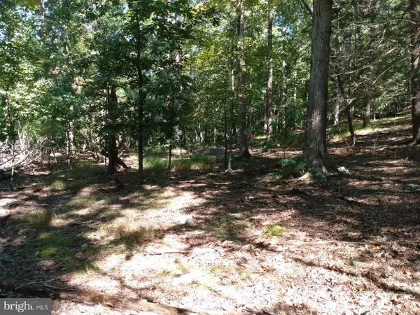 183 POLISH LN, Great Cacapon, WV 25422