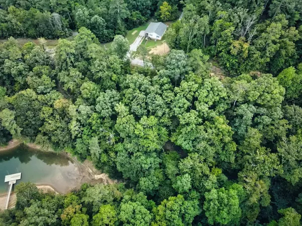 0 DAVIS DR, Crane Hill, AL 35053