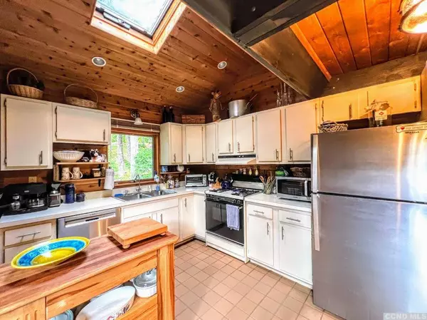 10 Heavenly Valley RD, Hunter, NY 12442