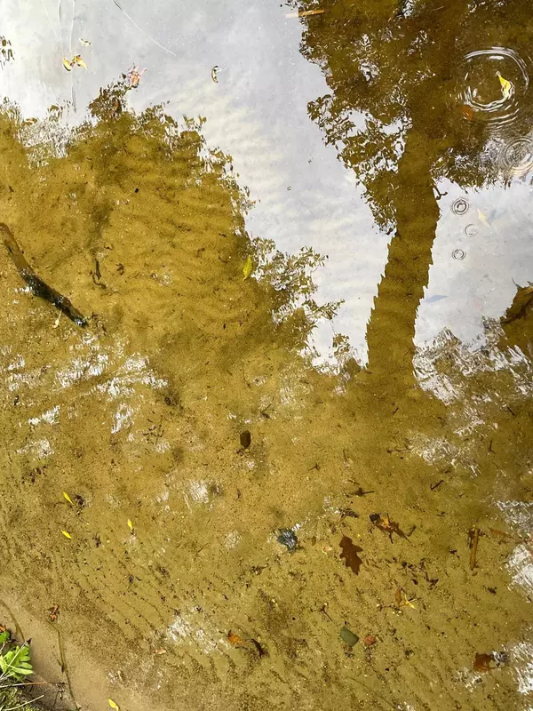 337XX McNeal Road, Aitkin, MN 56431