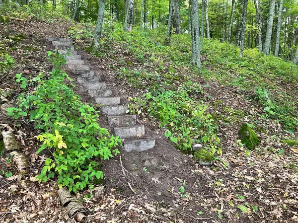 337XX McNeal Road, Aitkin, MN 56431