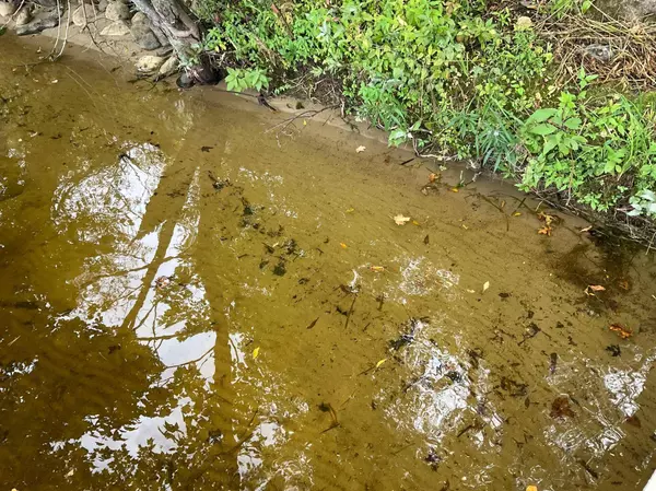 337XX McNeal Road, Aitkin, MN 56431