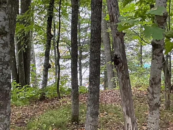 337XX McNeal Road, Aitkin, MN 56431