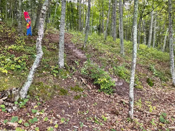 337XX McNeal Road, Aitkin, MN 56431