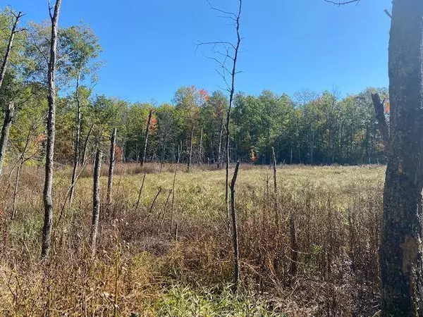 TBD Highway 77, Trego, WI 54888