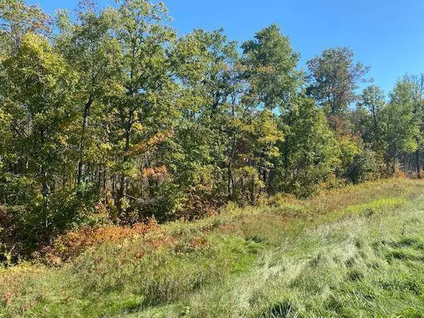 TBD Highway 77, Trego, WI 54888