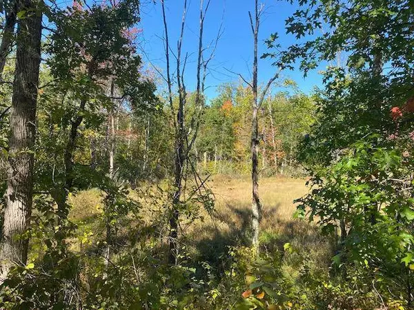 TBD Highway 77, Trego, WI 54888