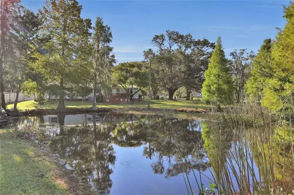 11205 COUNTRY HAVEN DR, Lakeland, FL 33809