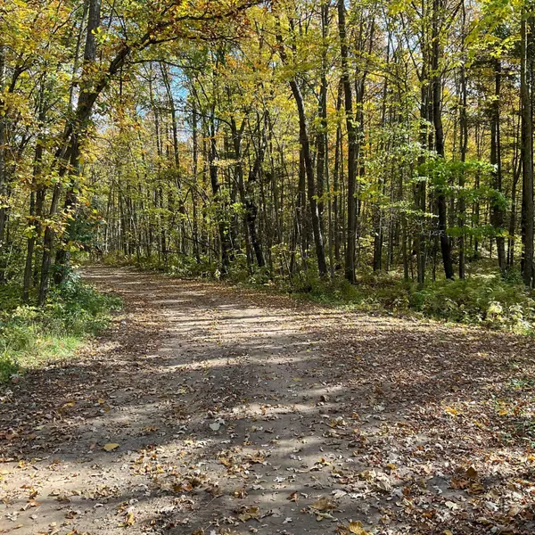 33713 399th PL, Aitkin, MN 56431