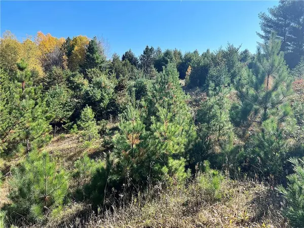 Lot 1 Sprocket Lane, Hayward, WI 54843