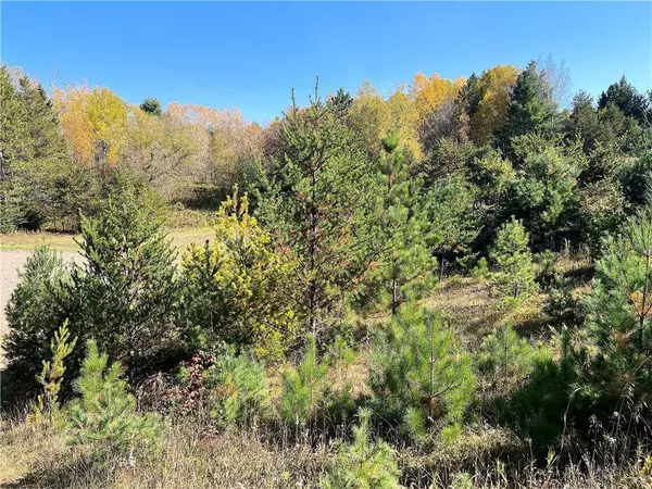 Lot 1 Sprocket Lane, Hayward, WI 54843