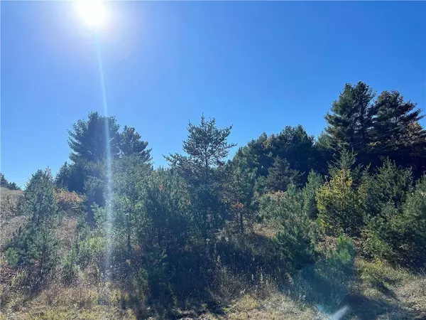 Lot 1 Sprocket Lane, Hayward, WI 54843