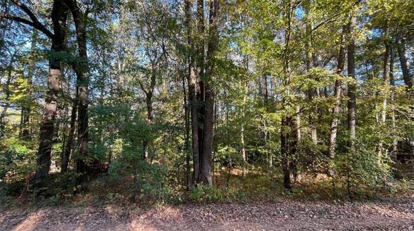 50 Lakeview CT, Temple, GA 30179