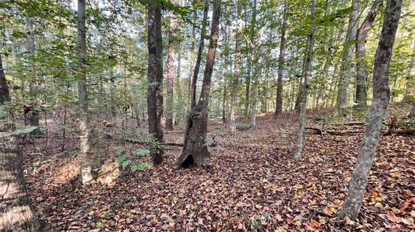 50 Lakeview CT, Temple, GA 30179