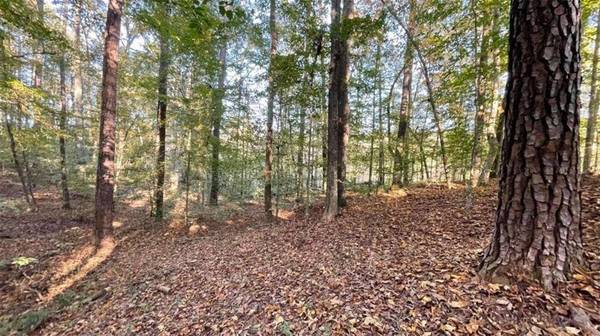 50 Lakeview CT, Temple, GA 30179