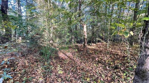 50 Lakeview CT, Temple, GA 30179