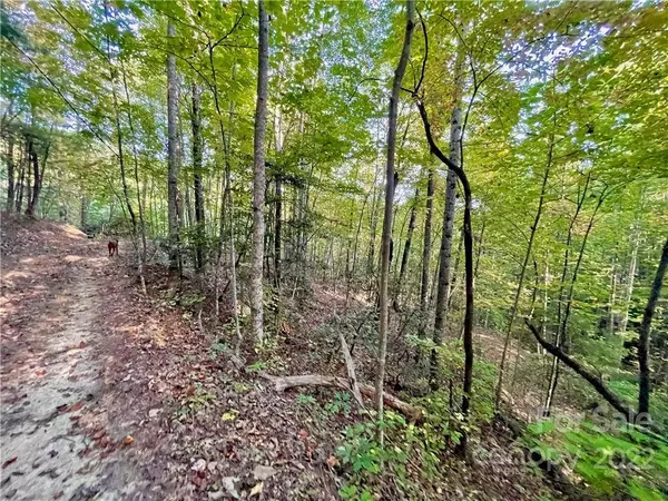 TBD Long Ridge TRL #TBD, Lenoir, NC 28645