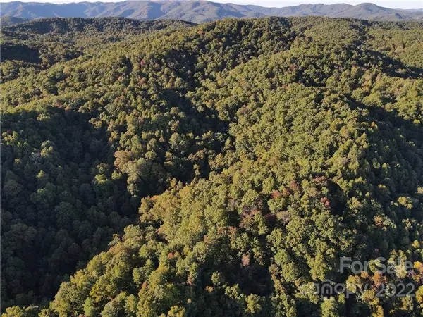 TBD Long Ridge TRL #TBD, Lenoir, NC 28645