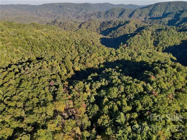 TBD Long Ridge TRL #TBD