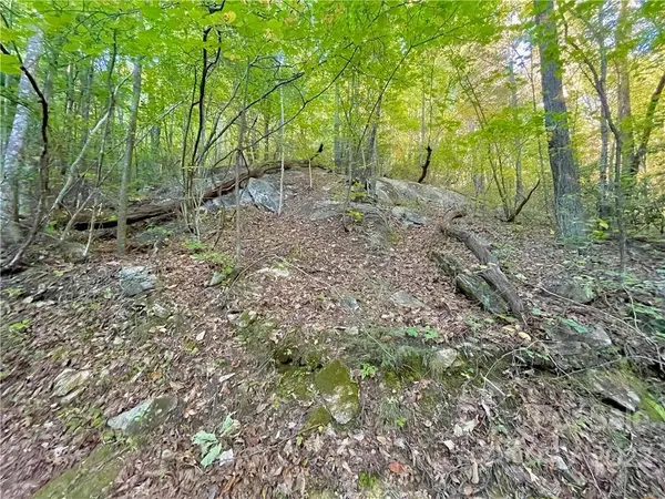 TBD Long Ridge TRL #TBD, Lenoir, NC 28645