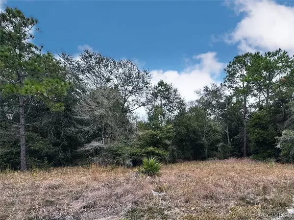 12265 W Cornflower DR, Crystal River, FL 34428