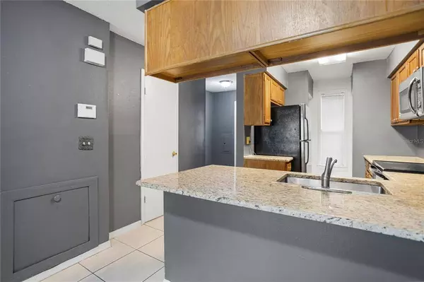 11345 REGAL SQUARE DR, Temple Terrace, FL 33617