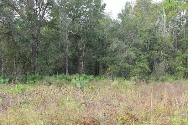 TBD US-19, Cross City, FL 32628