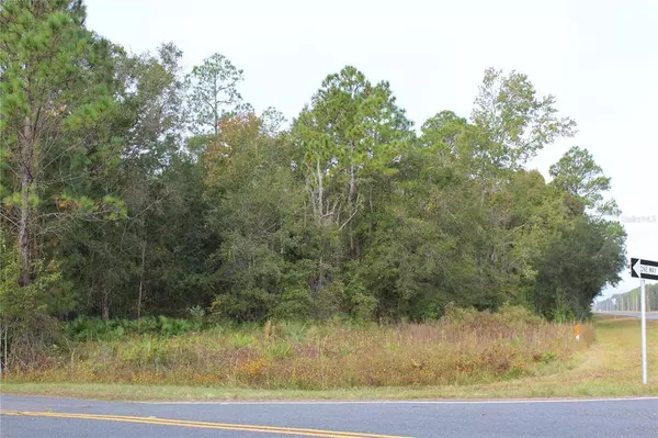 TBD US-19, Cross City, FL 32628