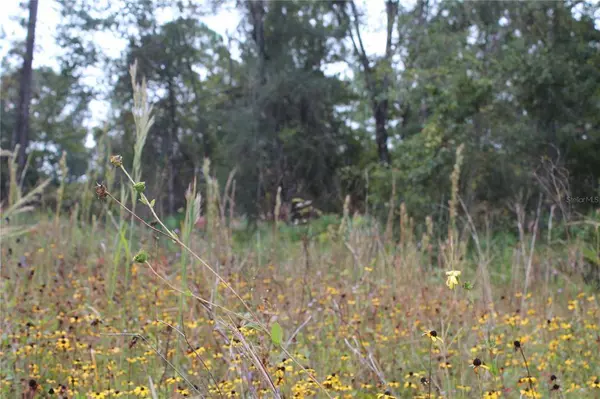 TBD US-19, Cross City, FL 32628