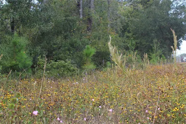 TBD US-19, Cross City, FL 32628