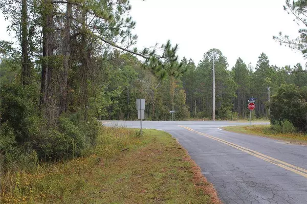 TBD US-19, Cross City, FL 32628