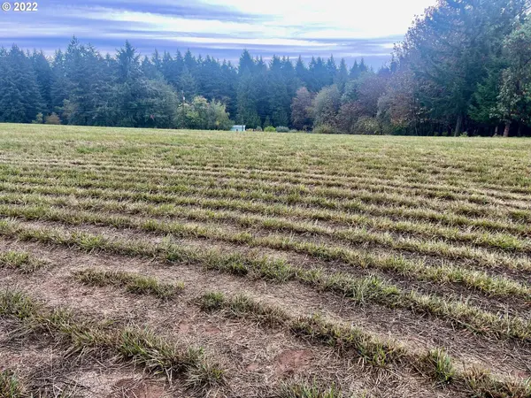 SW WUNDERLI CANYON RD #Lot 1, Sherwood, OR 97140