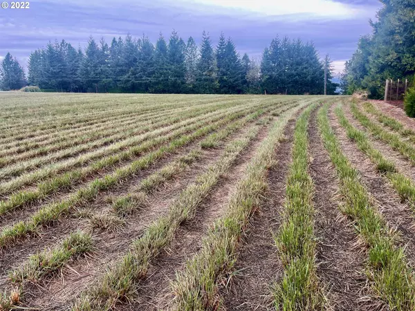 SW Mountain Home RD #Lot 2, Sherwood, OR 97140