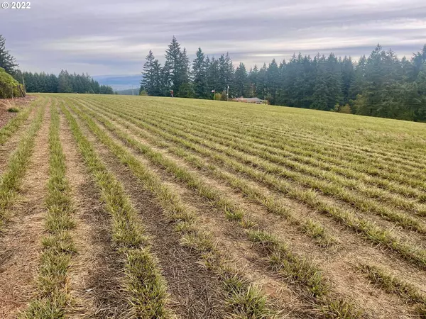 SW WUNDERLI CANYON RD #Lot 1, Sherwood, OR 97140