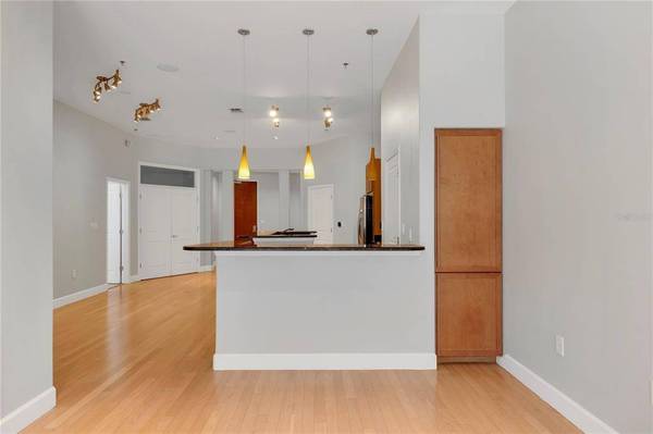 151 E WASHINGTON ST #3C, Orlando, FL 32801